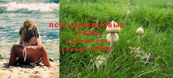 амф Надым