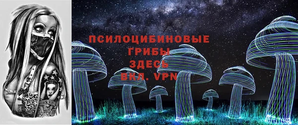 амф Надым