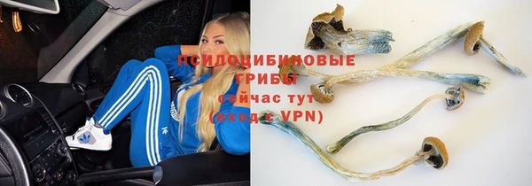 амф Надым