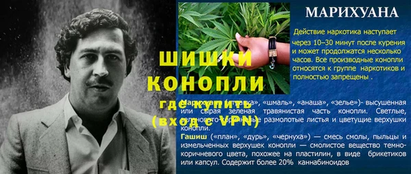 ПСИЛОЦИБИНОВЫЕ ГРИБЫ Михайловка