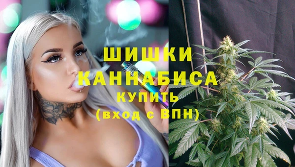 амф Надым