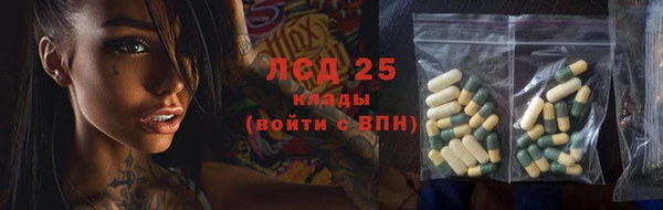 ПСИЛОЦИБИНОВЫЕ ГРИБЫ Михайловка