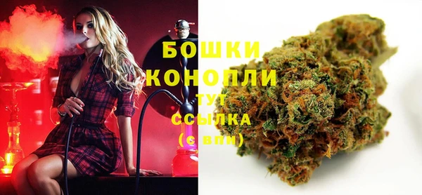 амф Надым