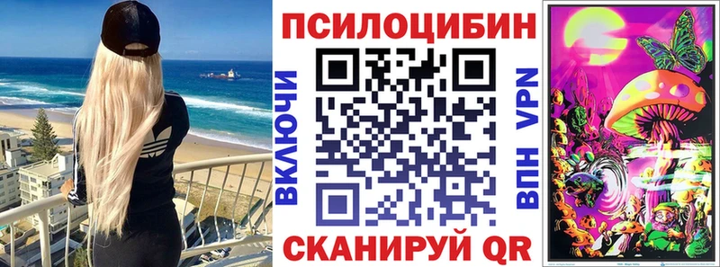 Галлюциногенные грибы Psilocybe хочу Нестеров